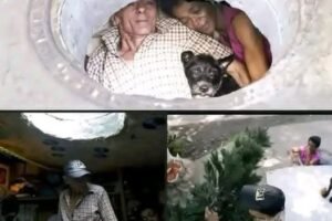 Breaking News: Family found in a… See more