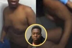 Everything was captured in ca