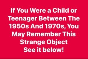If You Were a Child or Teenager Between The 1950s And 1970s, You May Remember This Strange Object See it below!.