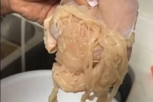 Don’t get fooled by the supermarkets. They’re selling you chicken meat from… See more