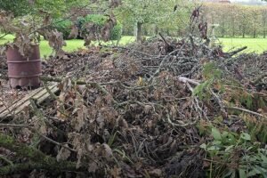 “Can you find the sneaky pup? Only eagle-eyed viewers will spot it!”