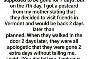 The Forged Reassurance: A Family Mystery Stamped in SilenceThe Forged Reassurance: A Family Mystery Stamped in Silence