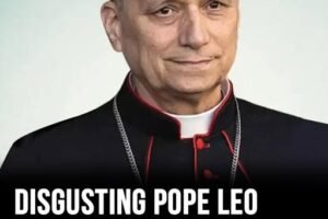 “Woke” Pope Leo XIV slammed by MAGA supporters