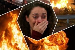 Breaking News, they just…See more below