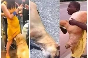 IF your dog is sniffing your genital area, it means you have…See more