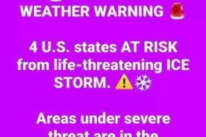 Hurricane Helene Set to Bring ‘Unsurvivable’ Devastation to Florida, Experts Warn