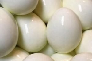 Does eating boiled eggs regularly benefit or harm the liver?