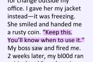 I Handed My Jacket to a Woman in the Cold, and Two Weeks Later a Velvet Box Turned My World Upside Down