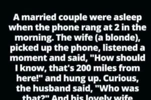 “Midnight Call Confusion That Will Leave You in Stitches!”