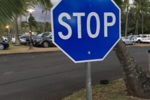 The Meaning Behind a Blue Stop Sign