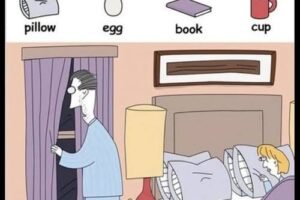 Can you find the book, egg, cup, and pillow?