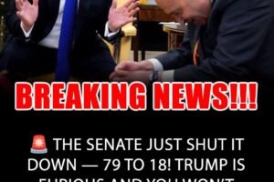 Senate Blocks Sanders’ Attempt to Halt Arms Deal