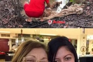 Search Ongoing After Mother and Daughter Reported Missing Near River Crossing