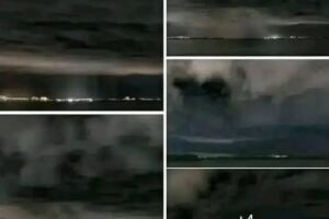 The video is causing terror on social media, I just saw it… See more