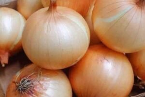 The Benefits of Onions You Didn’t Know About