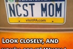 The Licensse Plate That Has Everyone Doing a Double Take