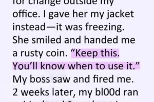 I Handed My Jacket to a Woman in the Cold, and Two Weeks Later a Velvet Box Turned My World Upside Down