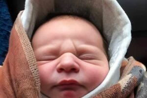 Newborn Found Abandoned in Basement Storage Room Sparks Urgent Rescue Effort