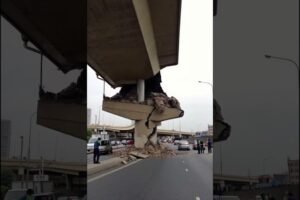 The bridge support collapsed after the earthquake, but it was just the outer concrete #crash #car