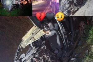 Serious head-on collision between a car and a truck leaves two dea… See more