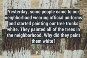 White Coats on Trees: Why Experts Are Painting Orchard Trunks This Season