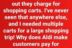 Why Do You Need a Coin at Aldi? Most People Don’t Know This