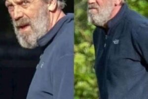 At 62, Hugh Laurie Looks Unrecognizable: What’s Changed?