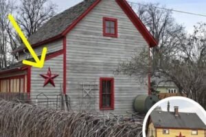 Inside the Secret Story of Pennsylvania’s Barn Stars-