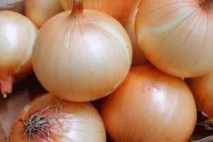 Onions in Everyday Cooking: Flavor, Versatility, and Simple Nutrition