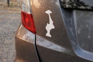 What an Upside-Down State Sticker Really Represents for Drivers