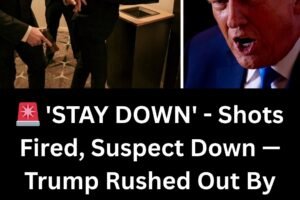Trump Rushed Off Stage At White House Correspondents’ Dinner