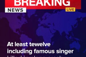 Twelve dead including famous singer in plane crash off remote island