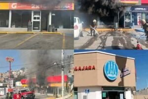 The Great Blue Corn Scare: How Clickbait Turned Mexico Upside Down