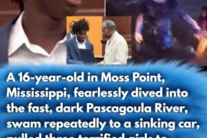 Teen’s Quick Thinking During River Emergency Shows the Importance of Awareness and Responsibility