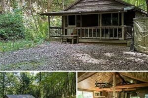 1.3 Acres Lot 3 beds ,500