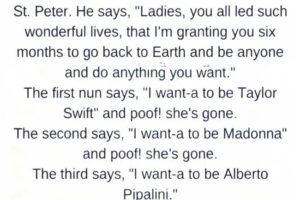 A Lighthearted Story That Reminds Us What True Happiness Looks Like