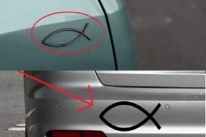 What does the small fish-shaped symbol on the back of some cars mean and what is it for? read more in coomment⬇️