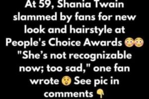 Shania Twain catches heat for blonde look at awards show
