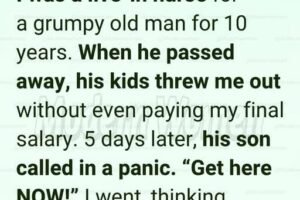 They Treated Me Like Just a Nurse for Ten Years Until One Hidden Envelope Changed Everything