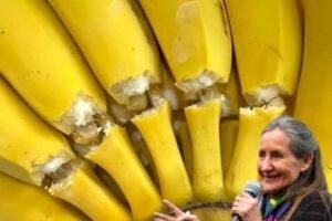 If you are over 50, eating a banana a day could be beneficial to your health.