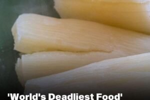 World’s “Deadliest Food” Kills 200 Each Year — And Millions Still Eat It