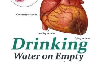 Did you know that drinking water on an empty stomach could be… see more