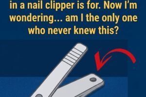 The Hidden Purpose Behind the Hole in Nail Clippers