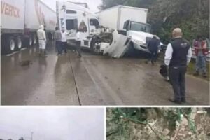 Breaking NewsFatal acc!dent, leaving 19 people passed away on the outsk!rts of…See more