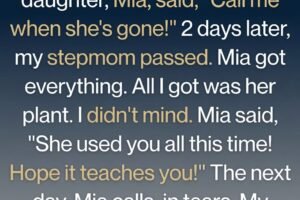 “The Only Thing I Inherited Was a Plant—But It Held My Stepmother’s Greatest Secret”