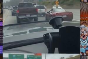 This Corvette Tried to Block a Truck — The Result Says It All