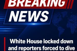 White House locked down and reporters forced to dive for cover as gunfire erupts