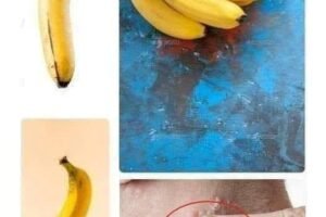 See what happens to your body if you