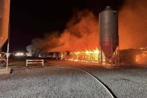 A few hours ago a big fire broke out in M… See more