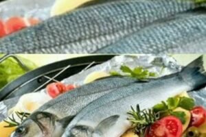 Eating Fish: A Habit That Transforms Your Health